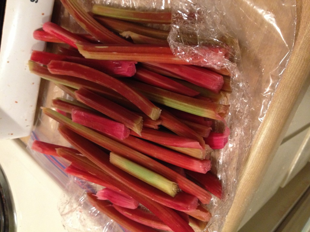 Rhubarb from California! Straight from the garden 
