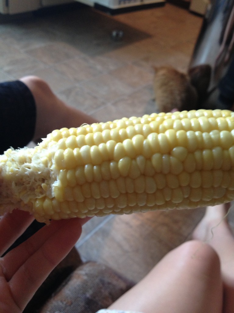 Corn is the signal of warm weather
