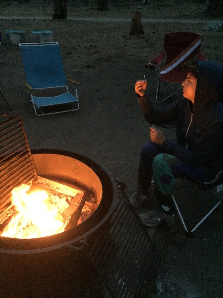 Campfire fun (s'mores every 5 hours)