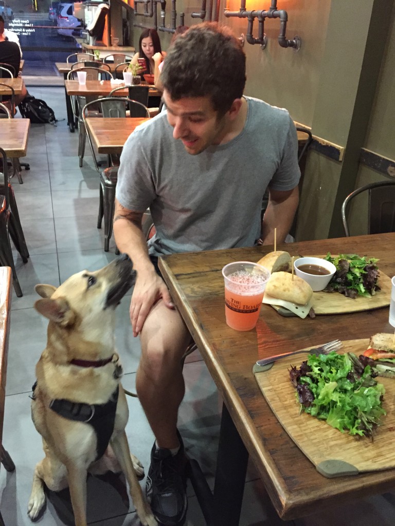Dog-friendly restaurants nearby!