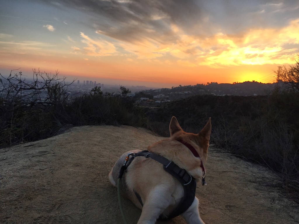With amazing views (living 15 min to Runyon)