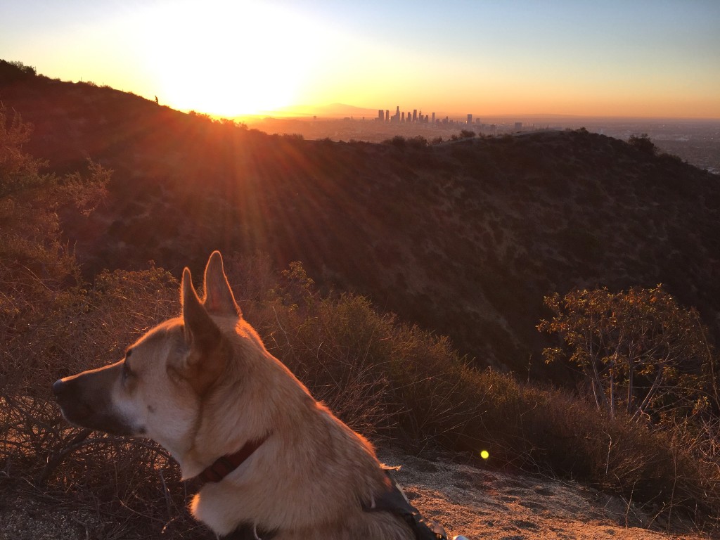 Our first sunrise hike