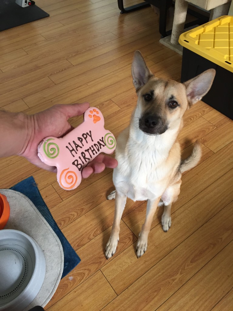 This girl turned 2!