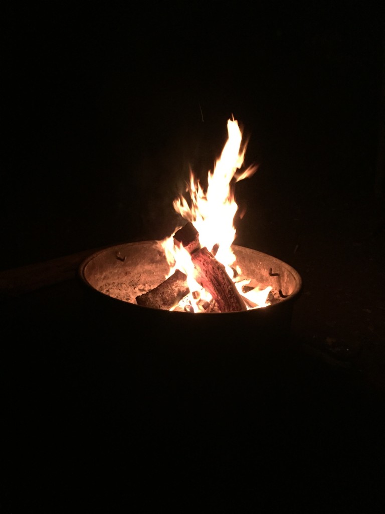 S'mores and wine 