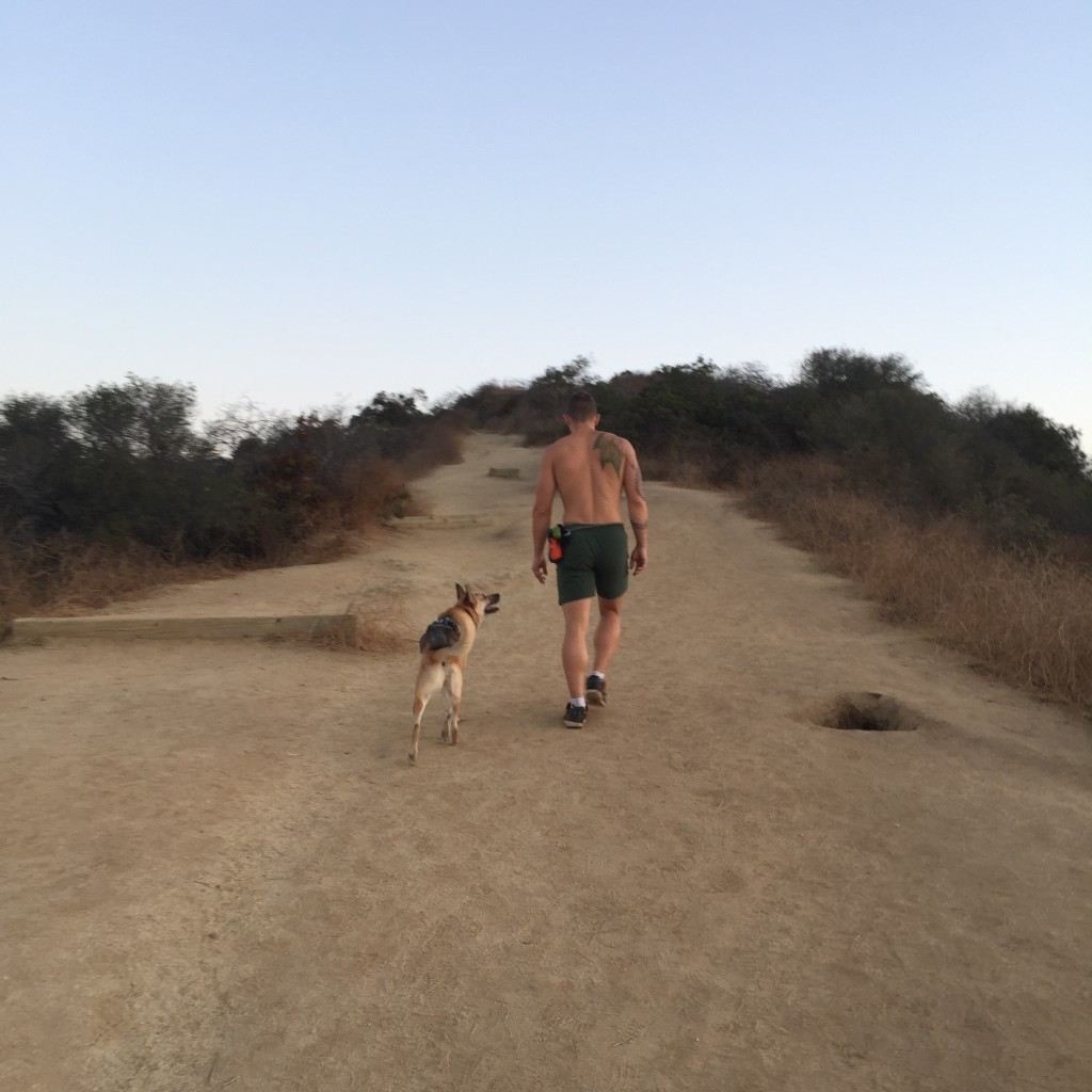Wearing the shorts on a trail run