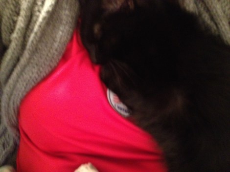 Nymeria sleeping on me