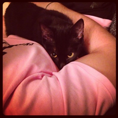 Nymeria snuggling with Chris