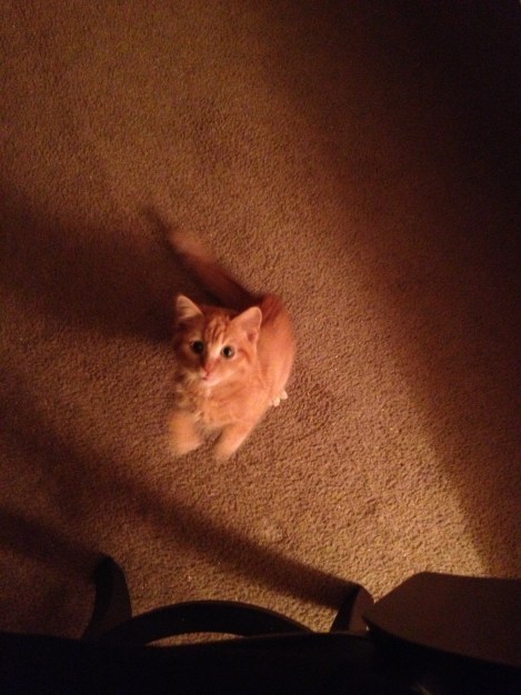 Sajah en route to command "up!"