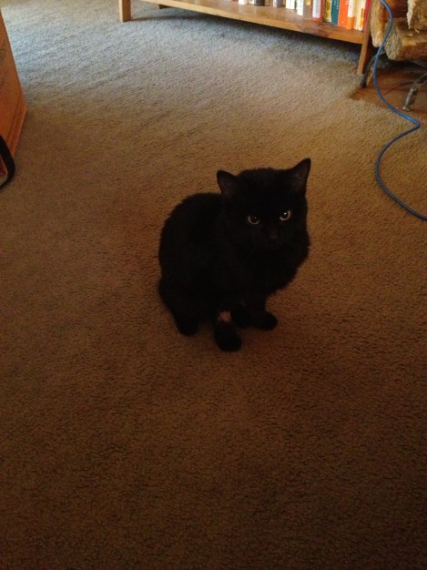 First moment back from the hospital