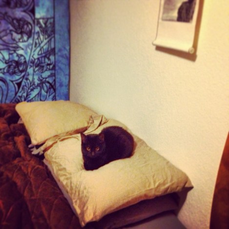 Nymeria is 98% back to normal!!