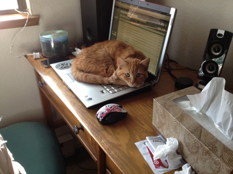 Sometimes, you get off the computer by yourself. Other times, your cat steals it 