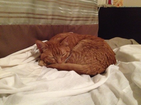 Even though he's taking my spot, he's so damn adorable 