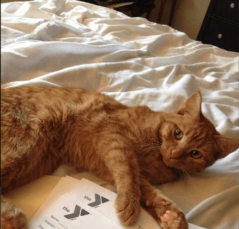 Sajah trying to help me with work