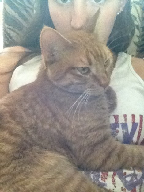 Sajah has become such a cuddle bug 