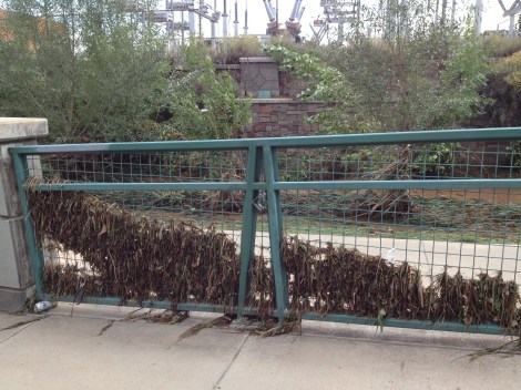 The creek rose to ridiculously high levels