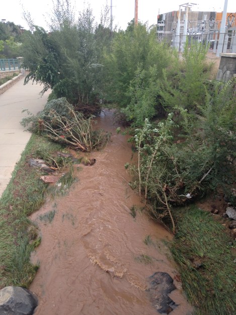 Goose Creek where I run next to 