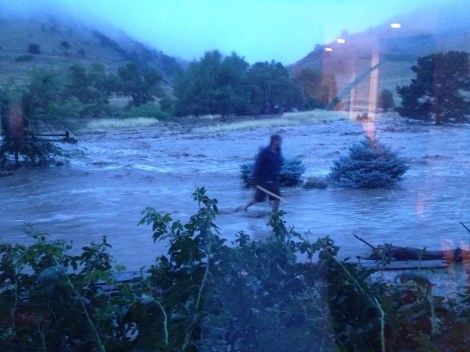 End of the day...that used to be a back yard