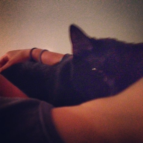 Nymeria kneading away