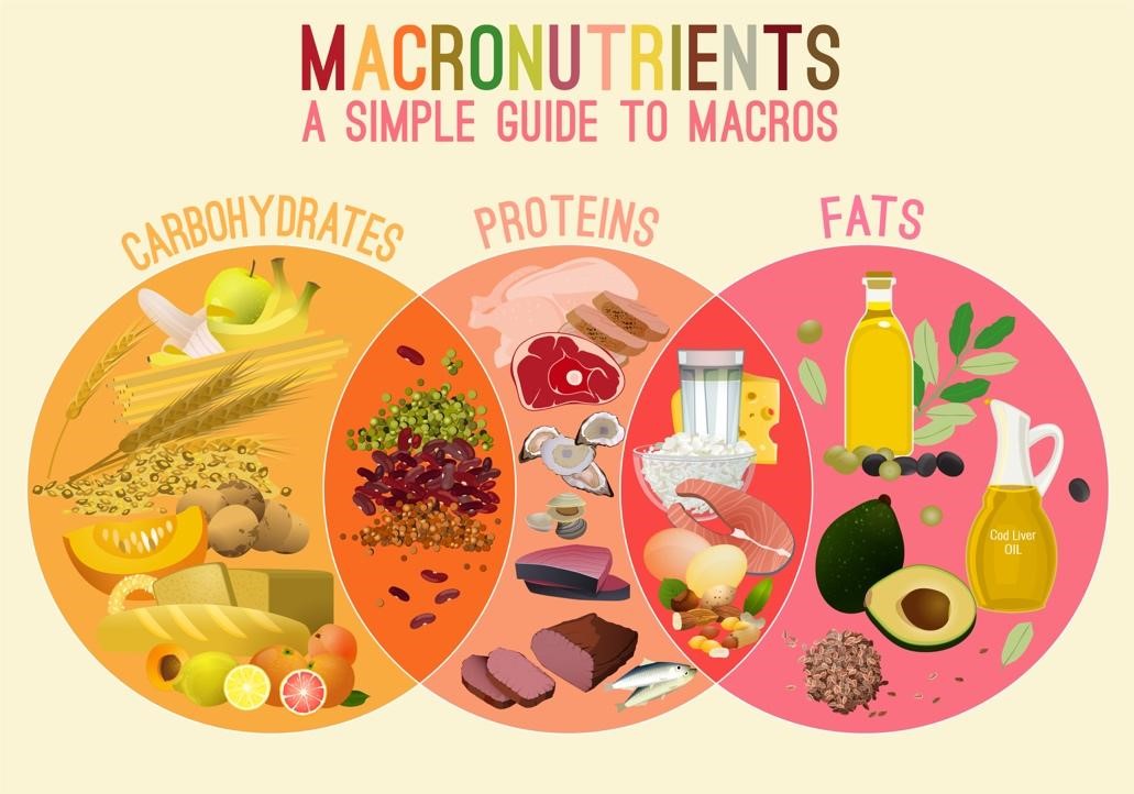 what is counting macros diet?